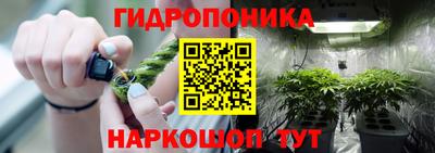 мет Дубна