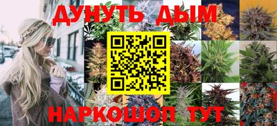 мет Дубна