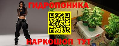 мет Дубна