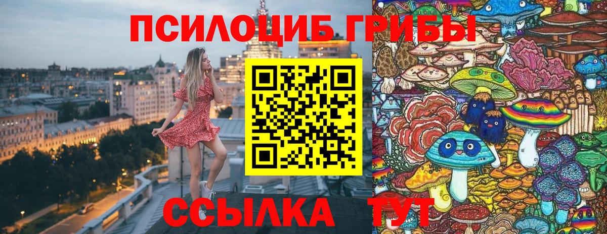 Псилоцибиновые грибы Psilocybe Нижневартовск