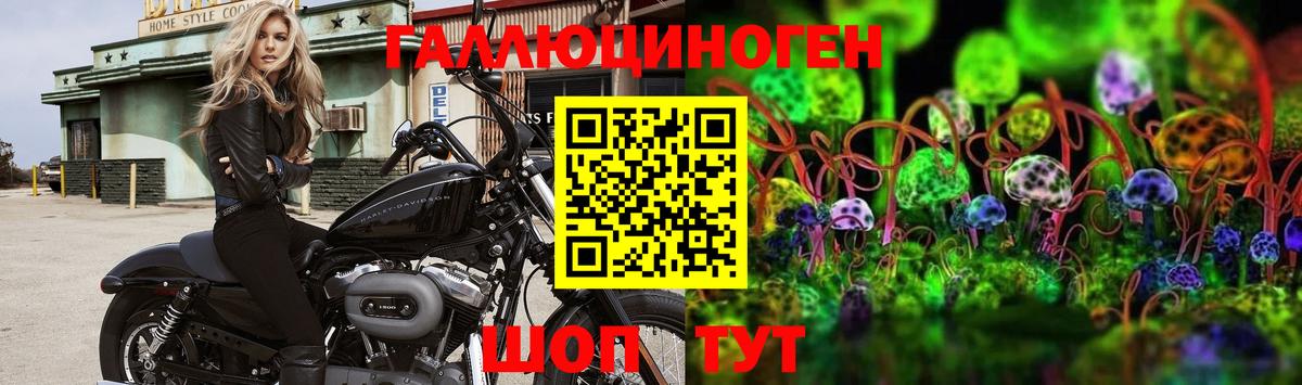 Псилоцибиновые грибы Psilocybine cubensis  Галлюциногенные грибы мицелий  Вход с VPN  Нижневартовск 
